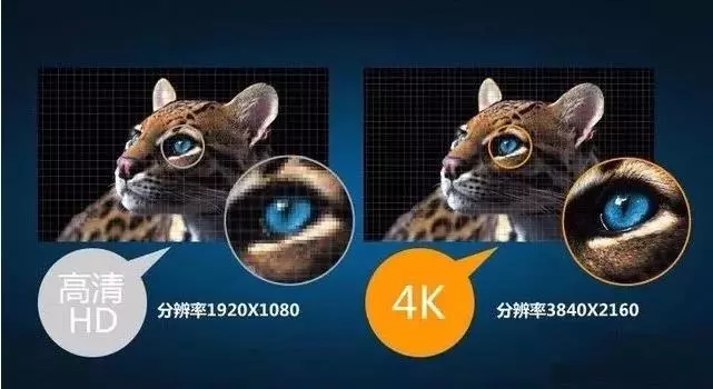5.webp.jpg